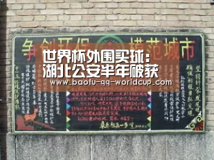 世界杯外围买球:湖北公安半年破获经济犯罪539起 挽回经济损失7.1亿元(图1) 世界杯外围买球
