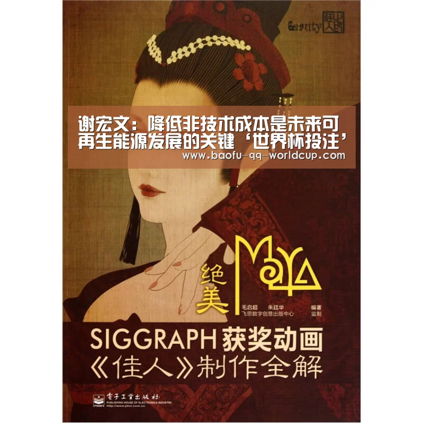 谢宏文:降低非技术成本是未来可再生能源发展的关键‘世界杯投注’(图2) 世界杯外围买球