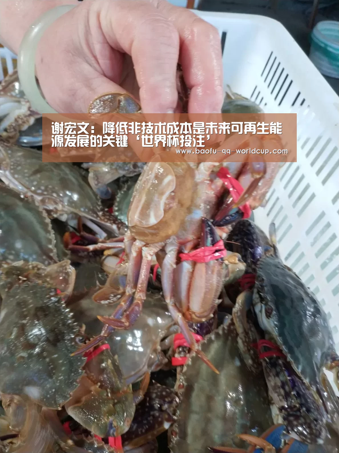 谢宏文:降低非技术成本是未来可再生能源发展的关键‘世界杯投注’(图4) 世界杯外围买球