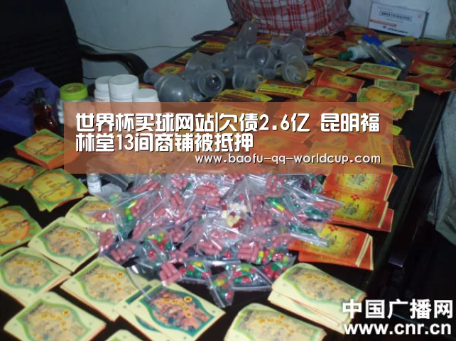 世界杯买球网站|欠债2.6亿 昆明福林堂13间商铺被抵押