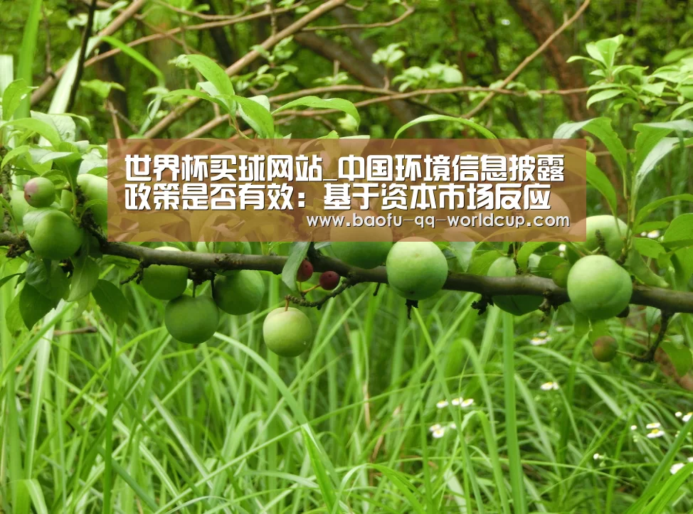 世界杯买球网站_中国环境信息披露政策是否有效:基于资本市场反应的研究(图2) 世界杯外围买球