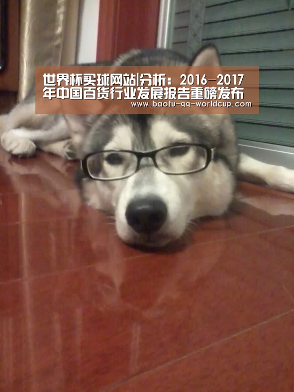 世界杯买球网站|分析:2016-2017年中国百货行业发展报告重磅发布(图2) 世界杯买球网站